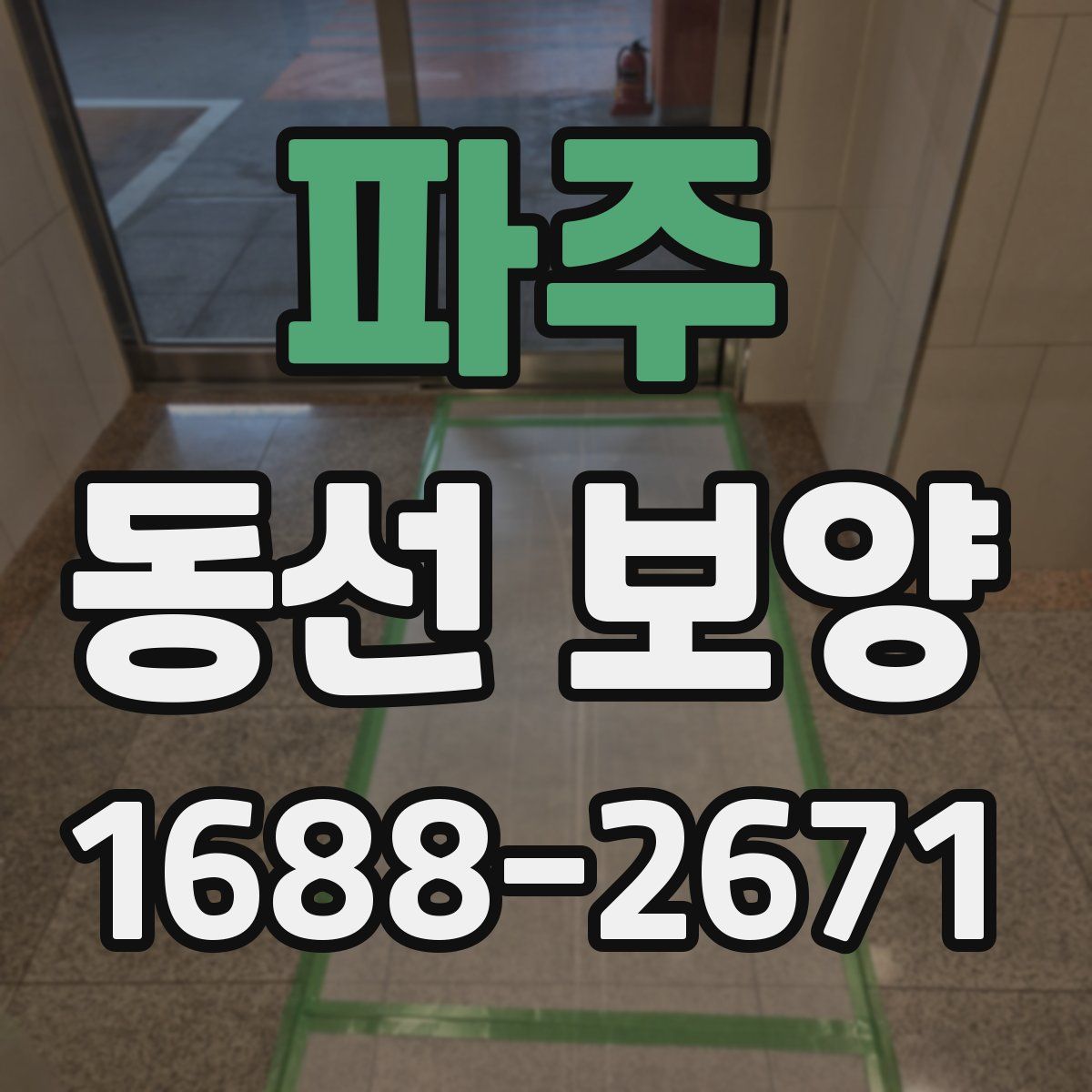 파주 동선 보양