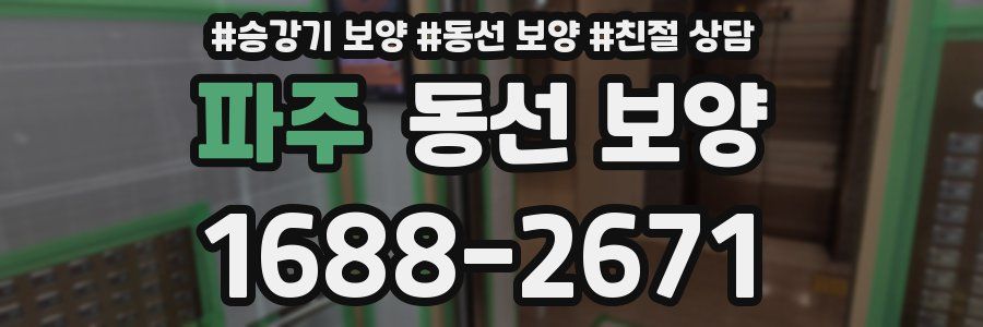 파주 동선 보양