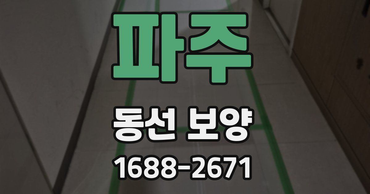 파주 동선 보양