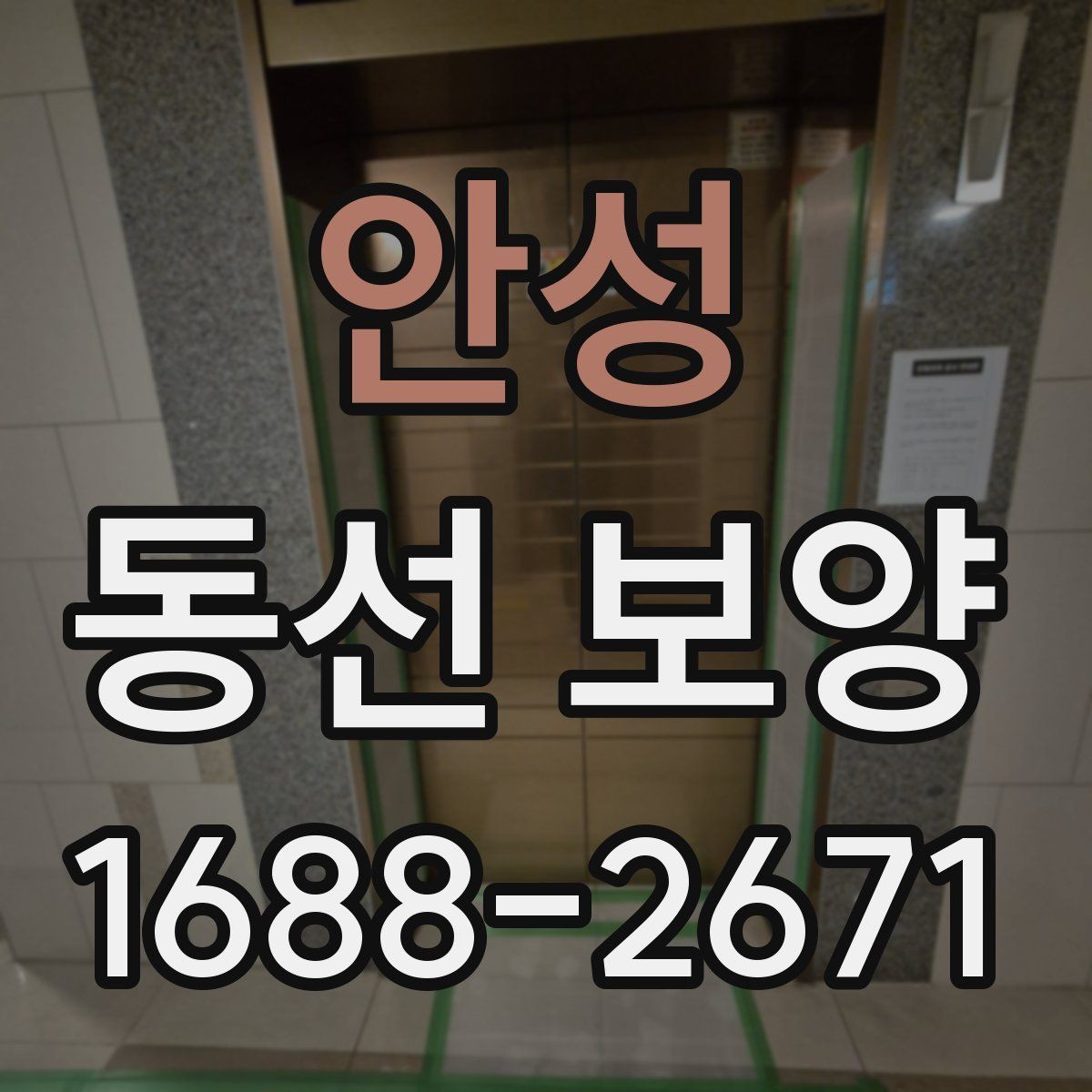 안성 동선 보양 시공 사례로 보는 준비 포인트