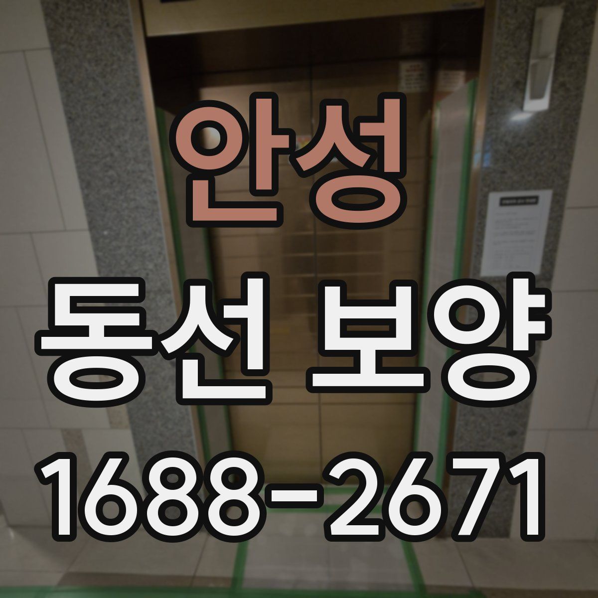 안성 동선 보양