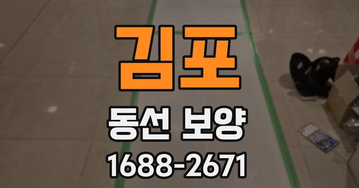김포 동선 보양