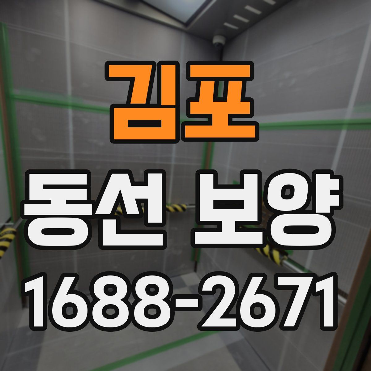 김포 동선 보양