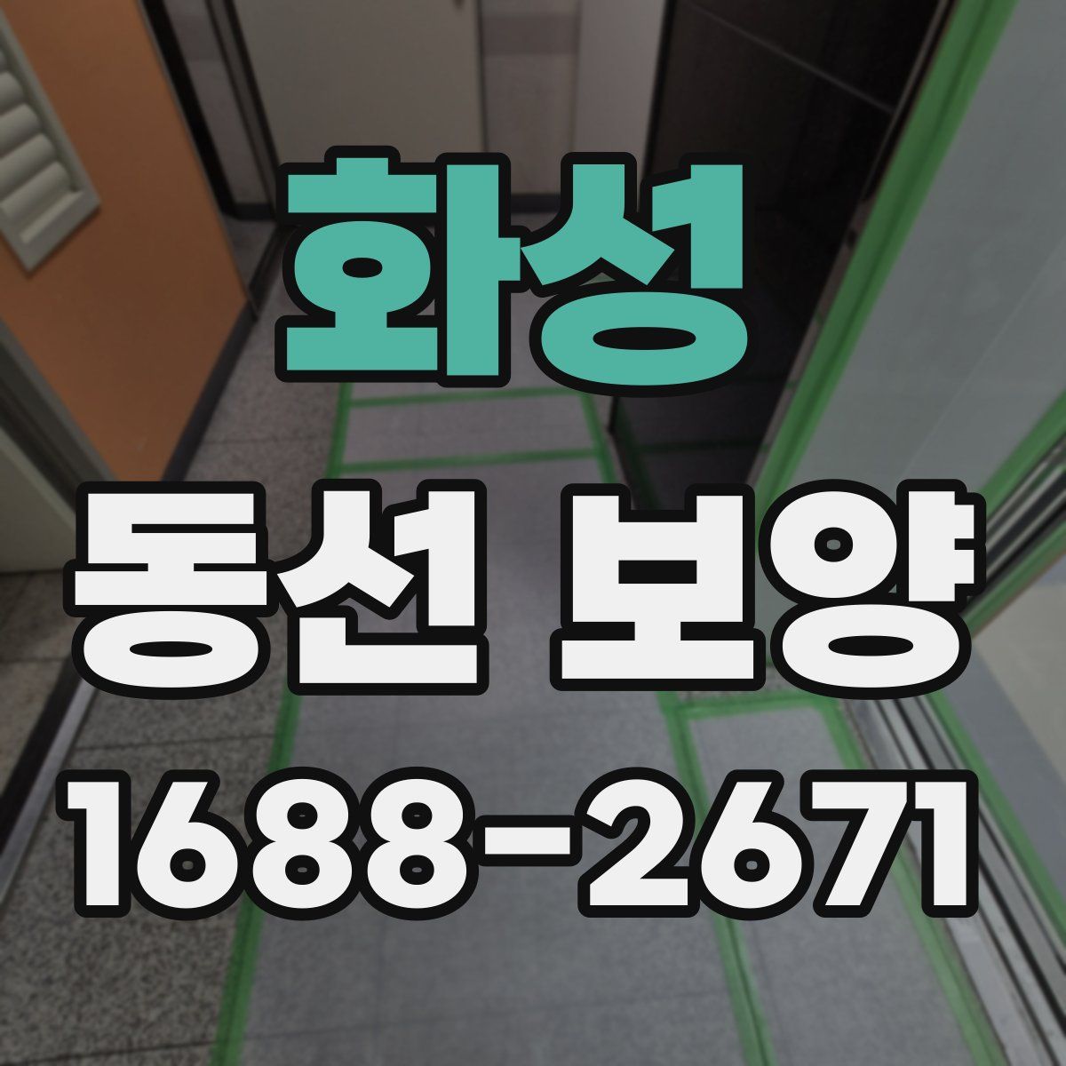 화성 동선 보양