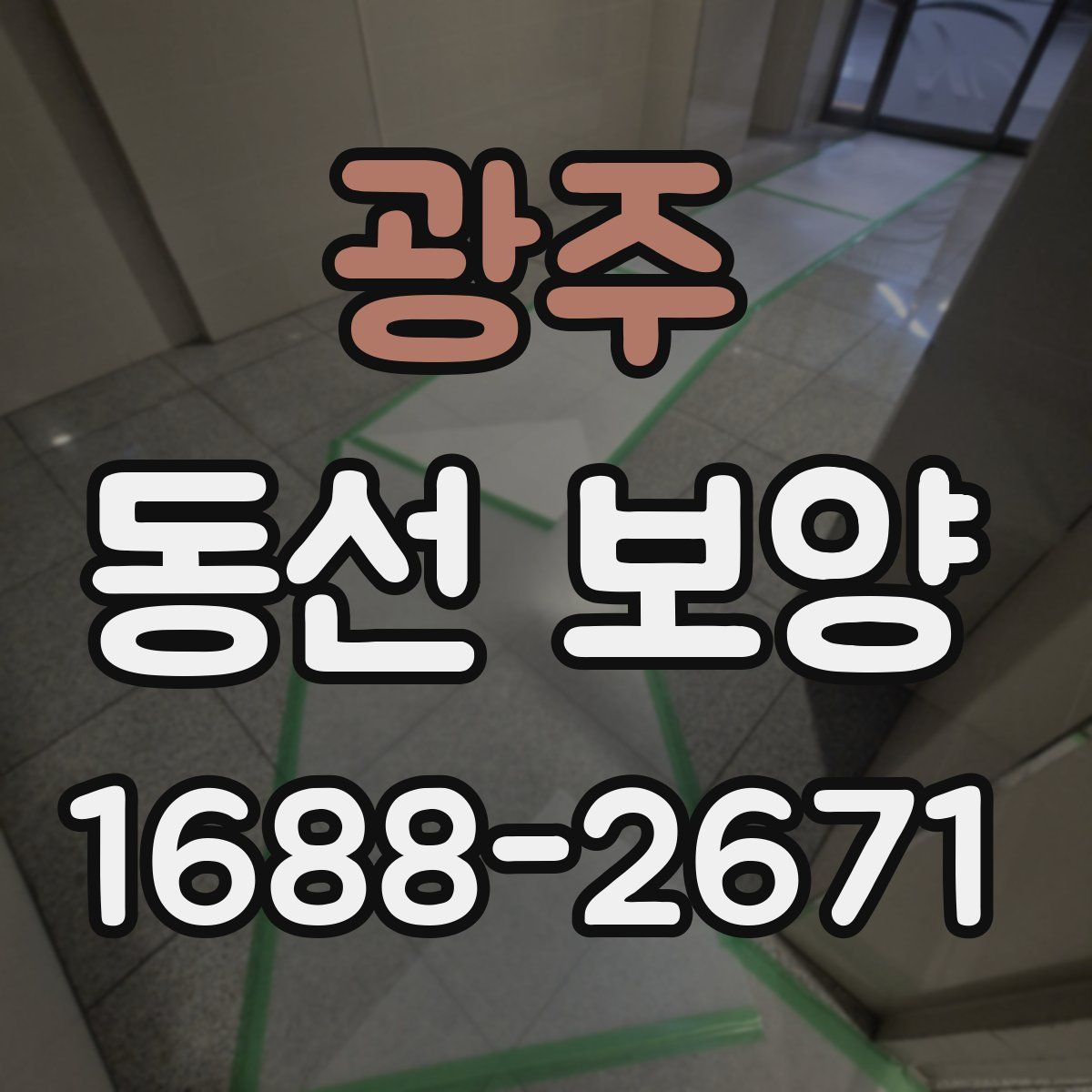 광주 동선 보양