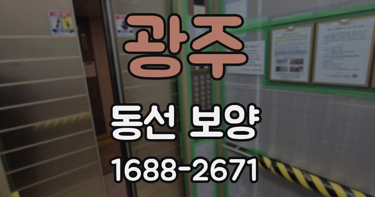광주 동선 보양