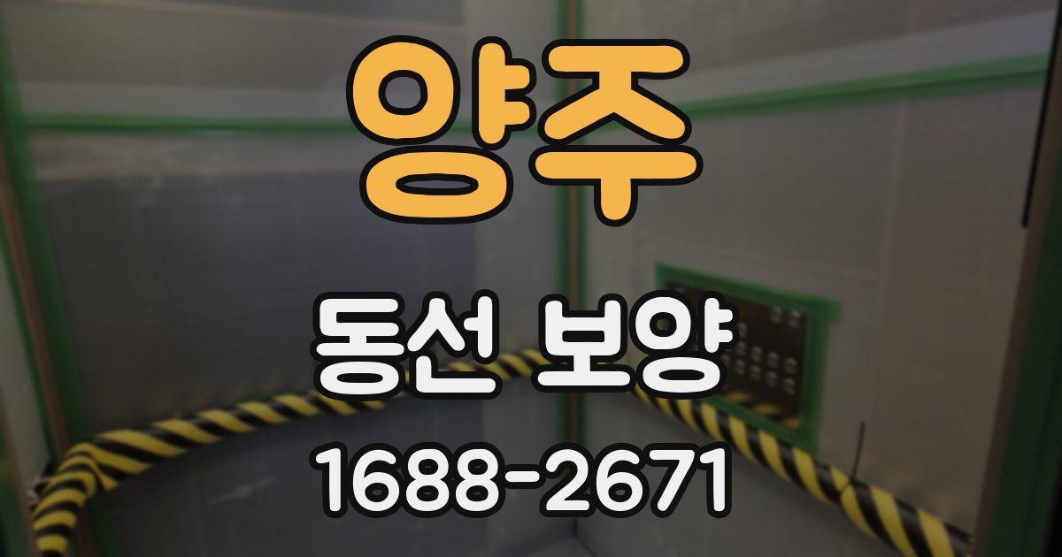 양주 동선 보양