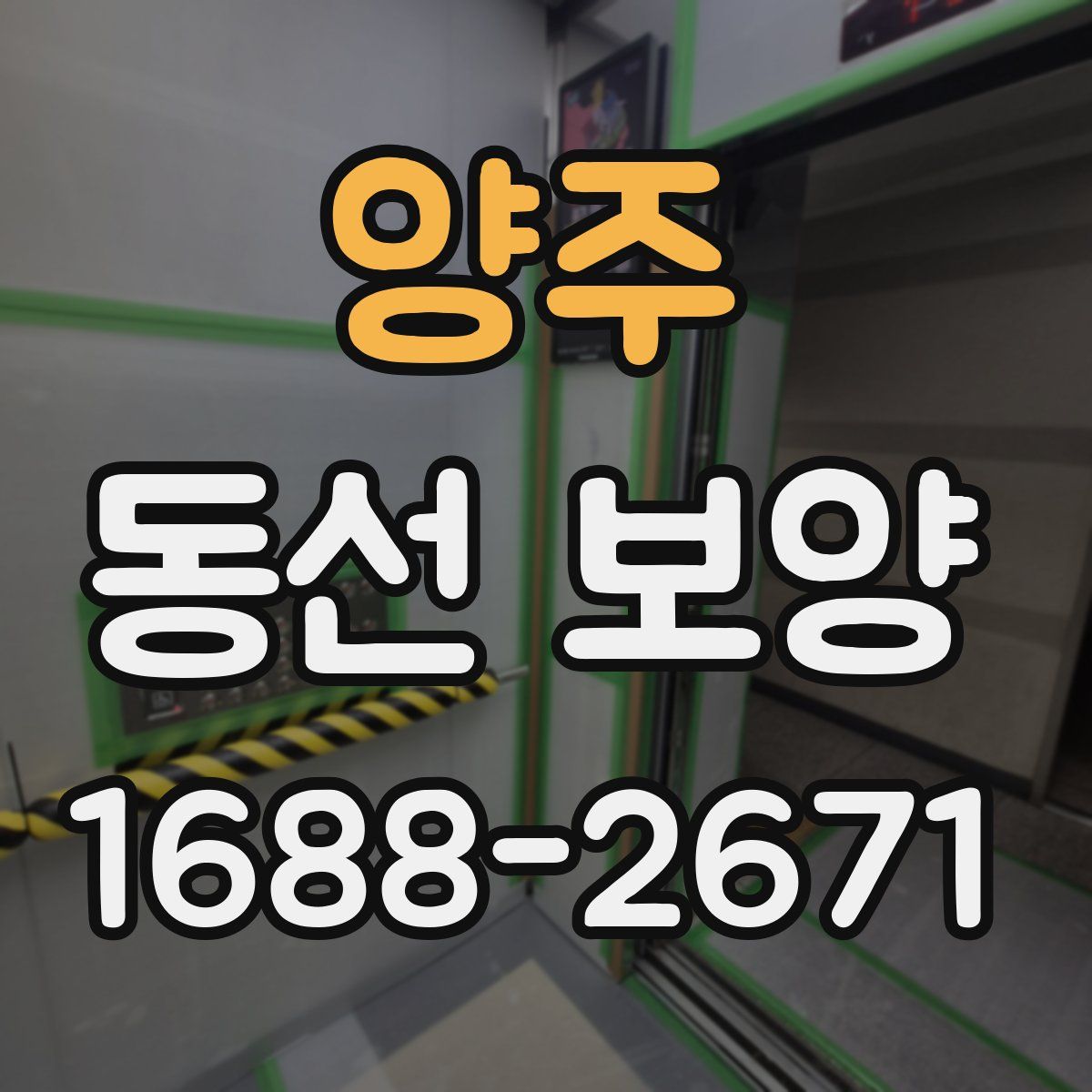 양주 동선 보양
