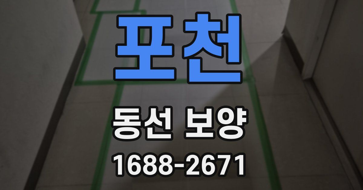 포천 동선 보양