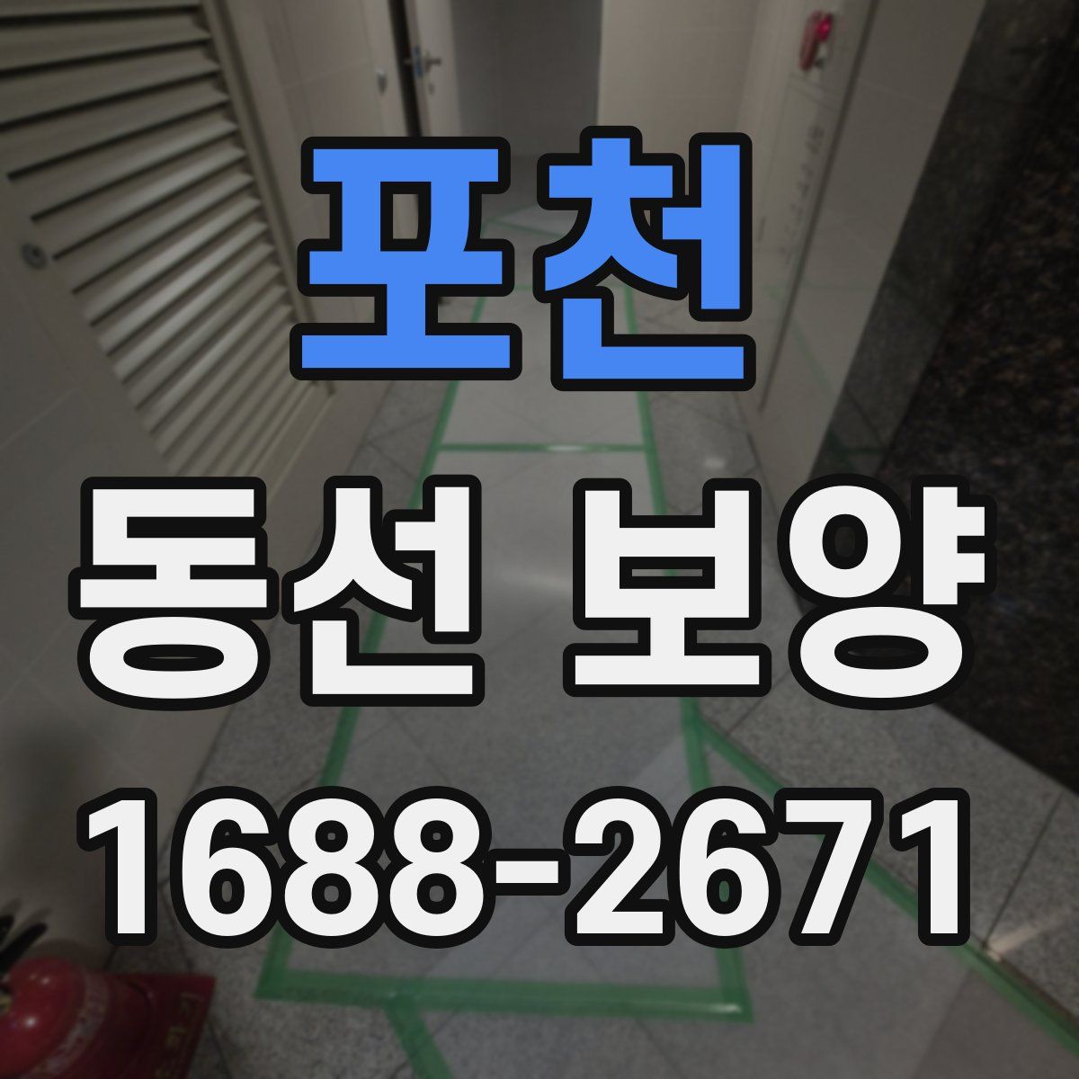 포천 동선 보양