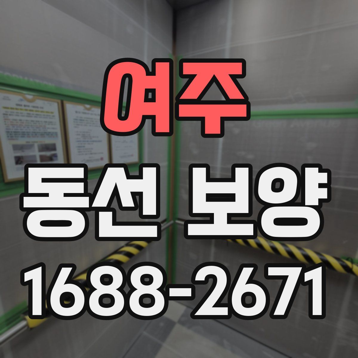 여주 동선 보양