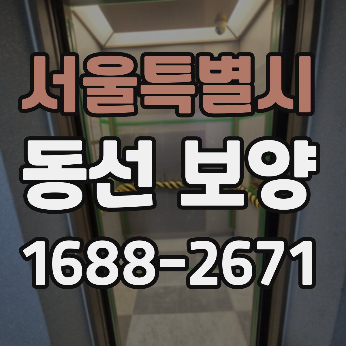 서울특별시 동선 보양
