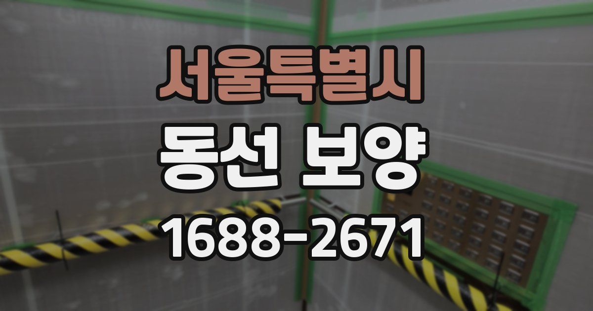 서울특별시 동선 보양