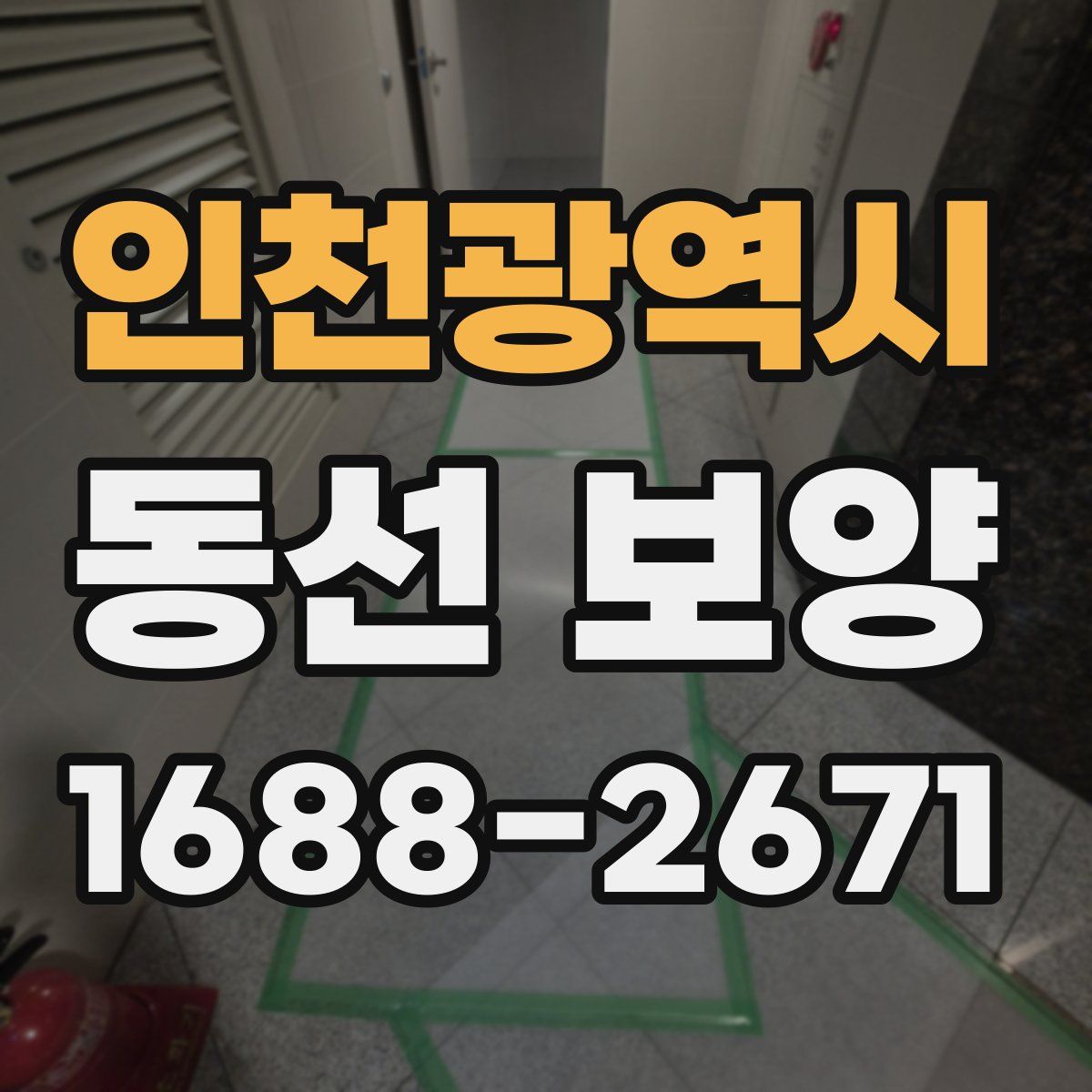 인천광역시 동선 보양