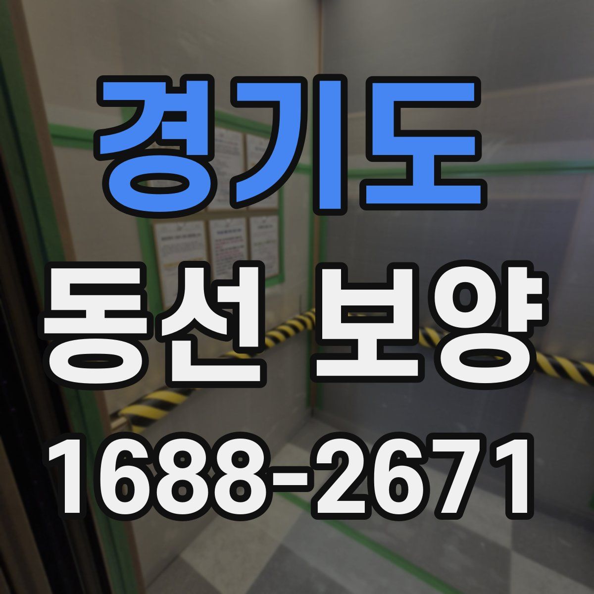 경기도 동선 보양
