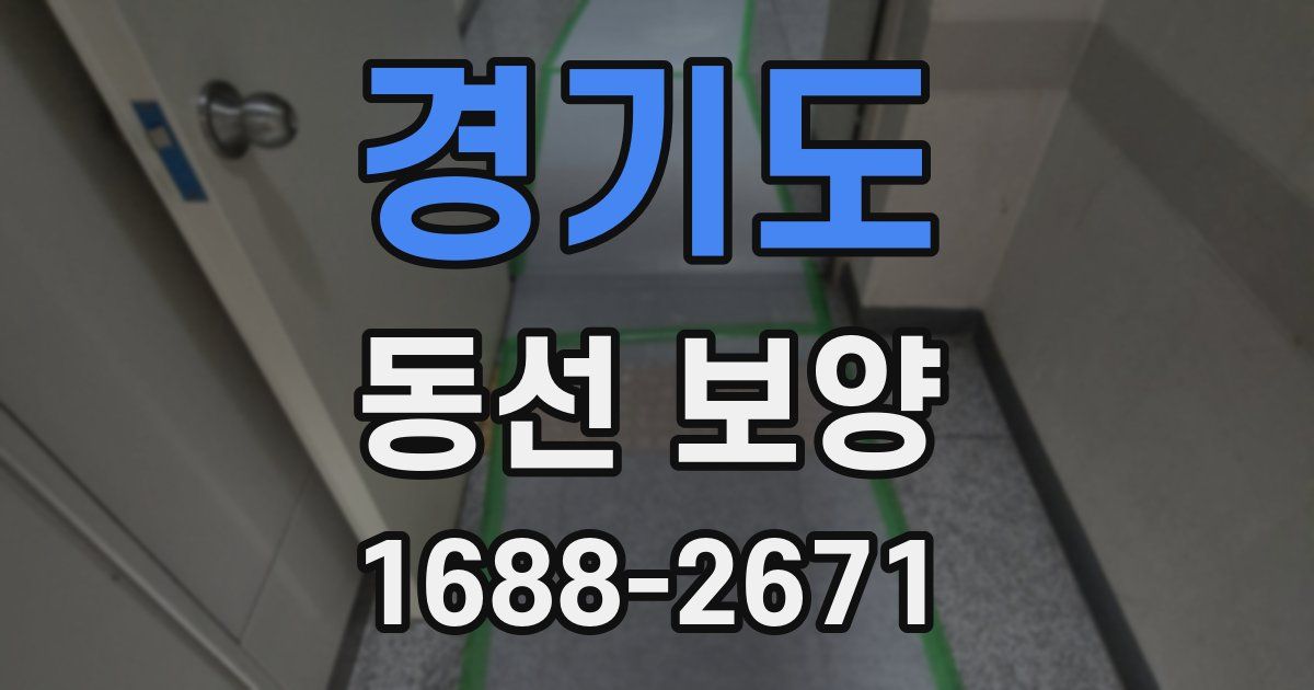 경기도 동선 보양