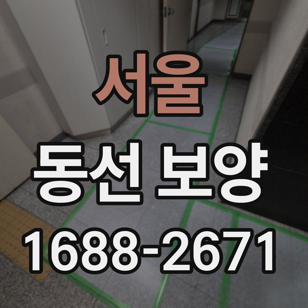 서울 동선 보양