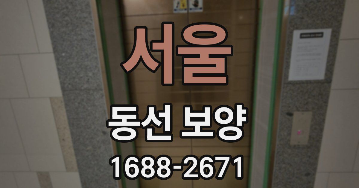 서울 동선 보양