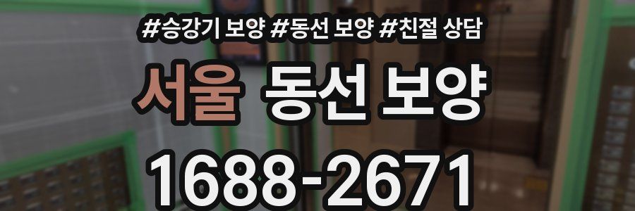 서울 동선 보양