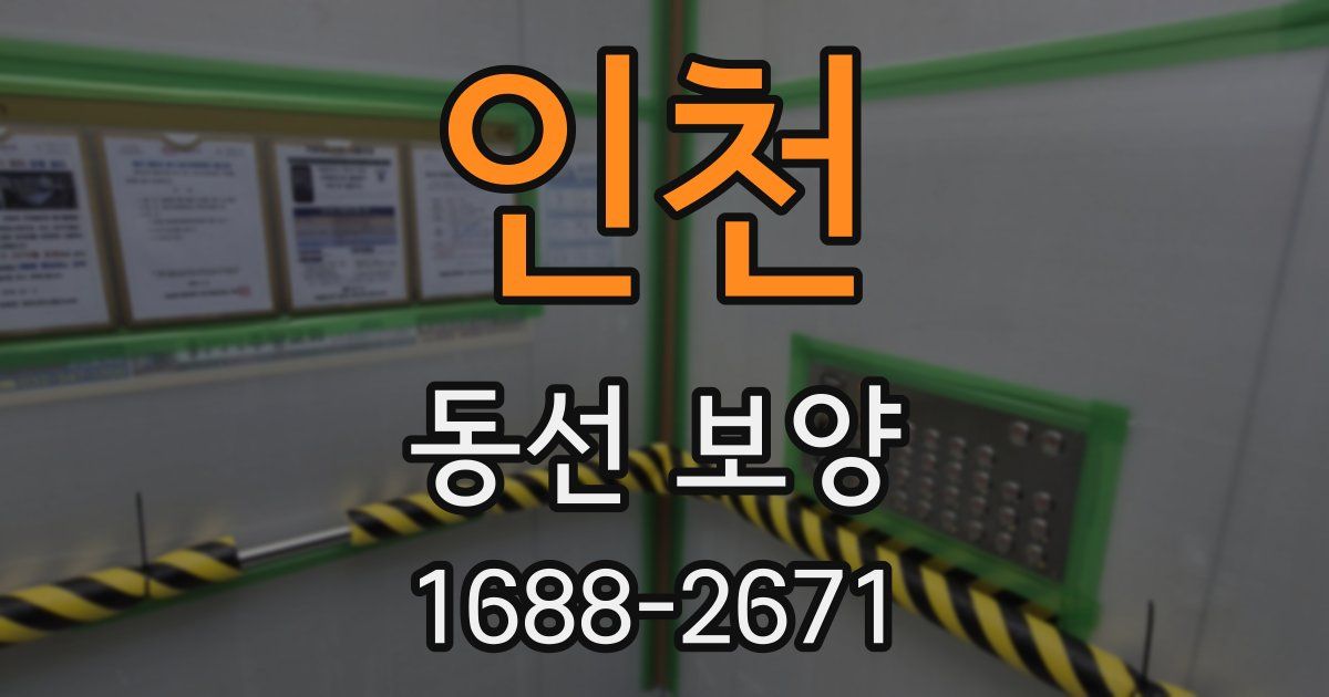 인천 동선 보양
