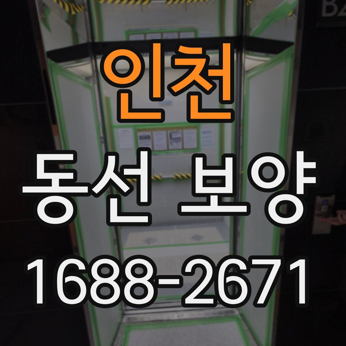 인천 동선 보양