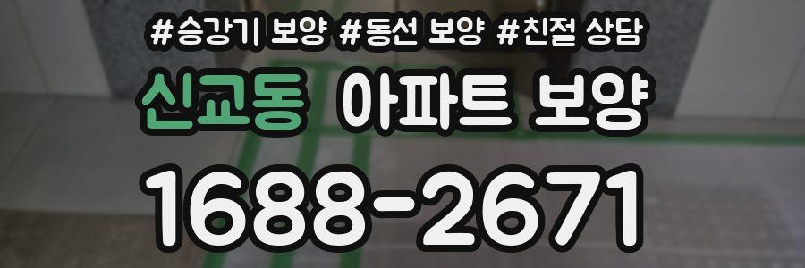 신교동 아파트 보양