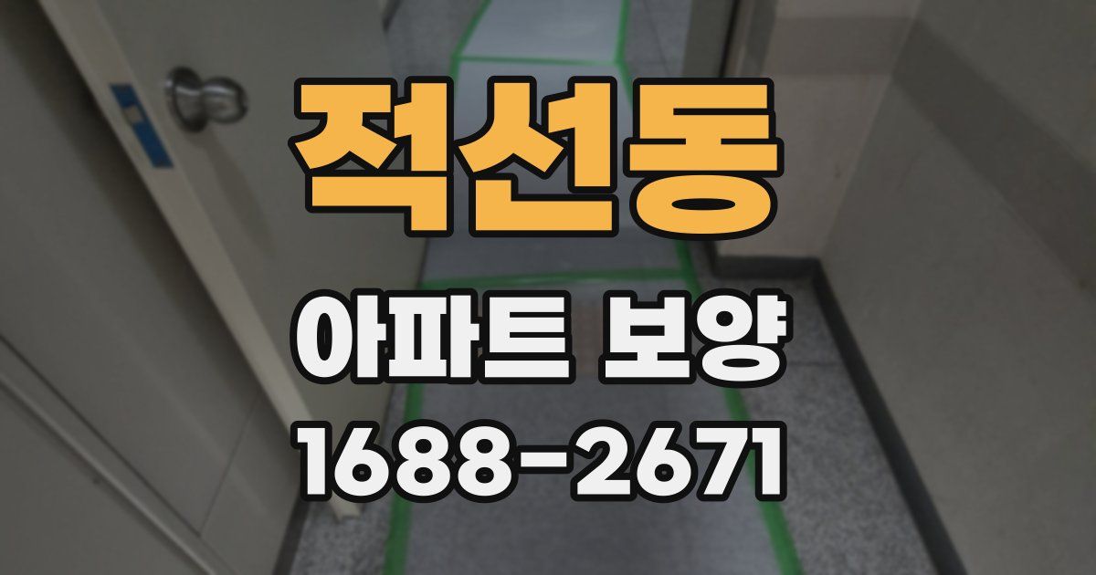적선동 아파트 보양
