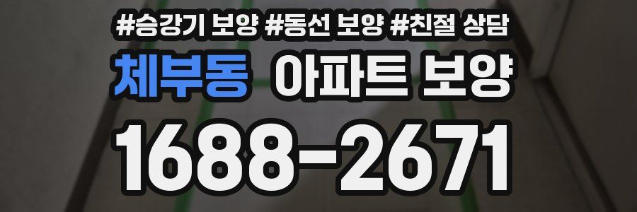 체부동 아파트 보양