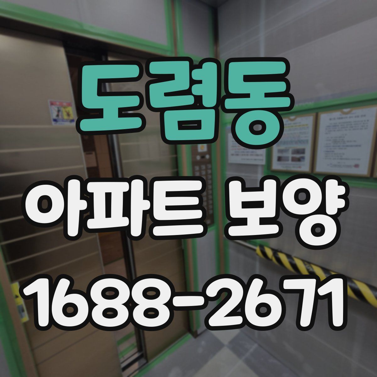 도렴동 아파트 보양