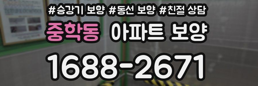 중학동 아파트 보양
