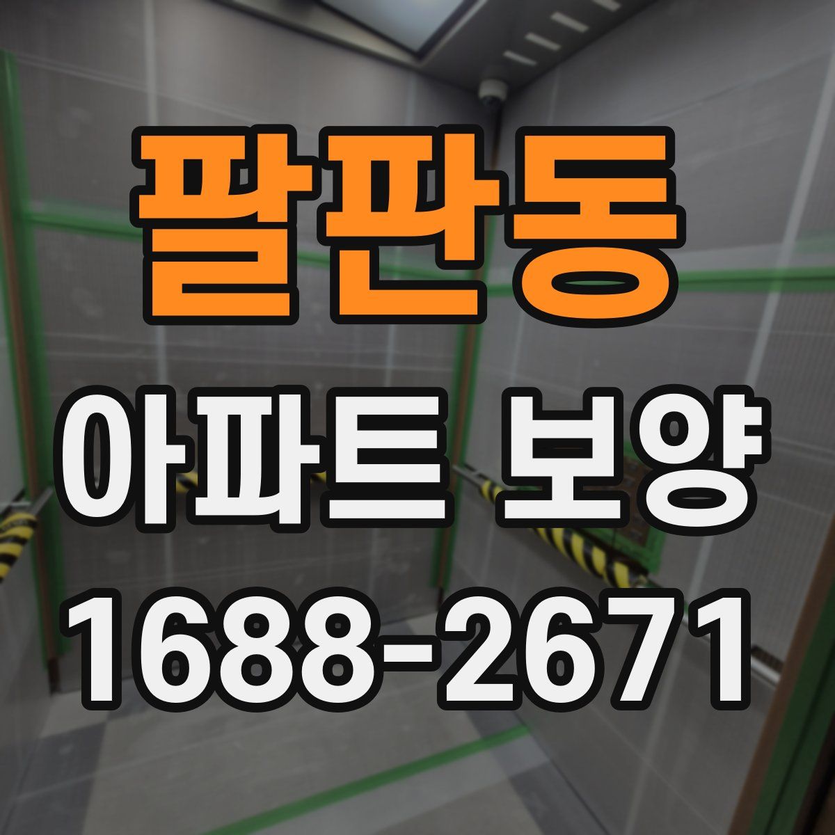 팔판동 아파트 보양