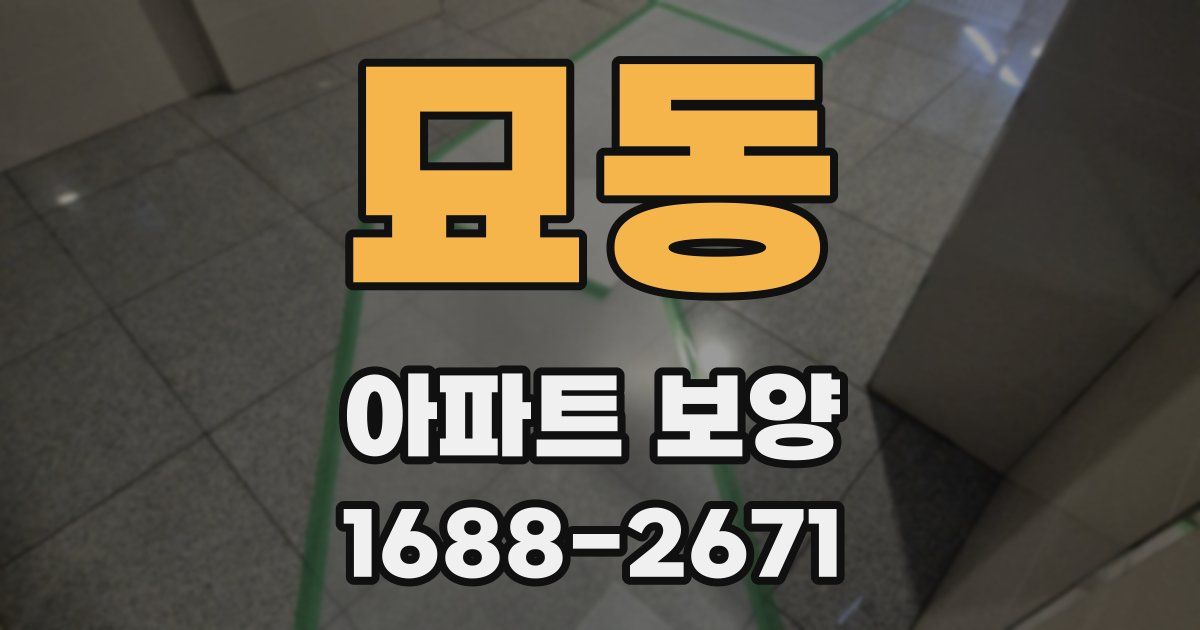 묘동 아파트 보양