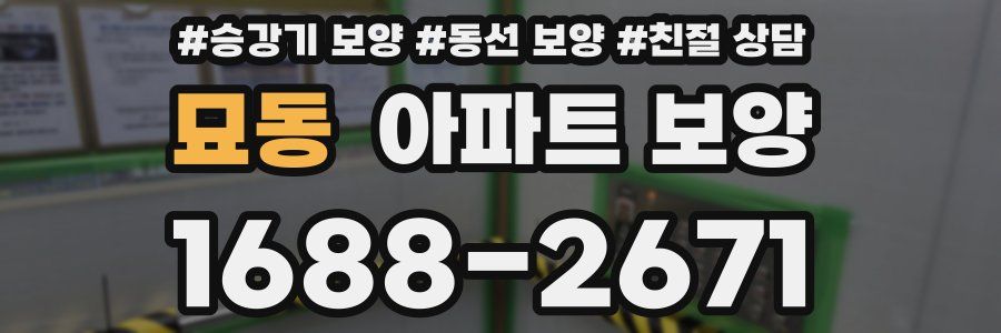 묘동 아파트 보양