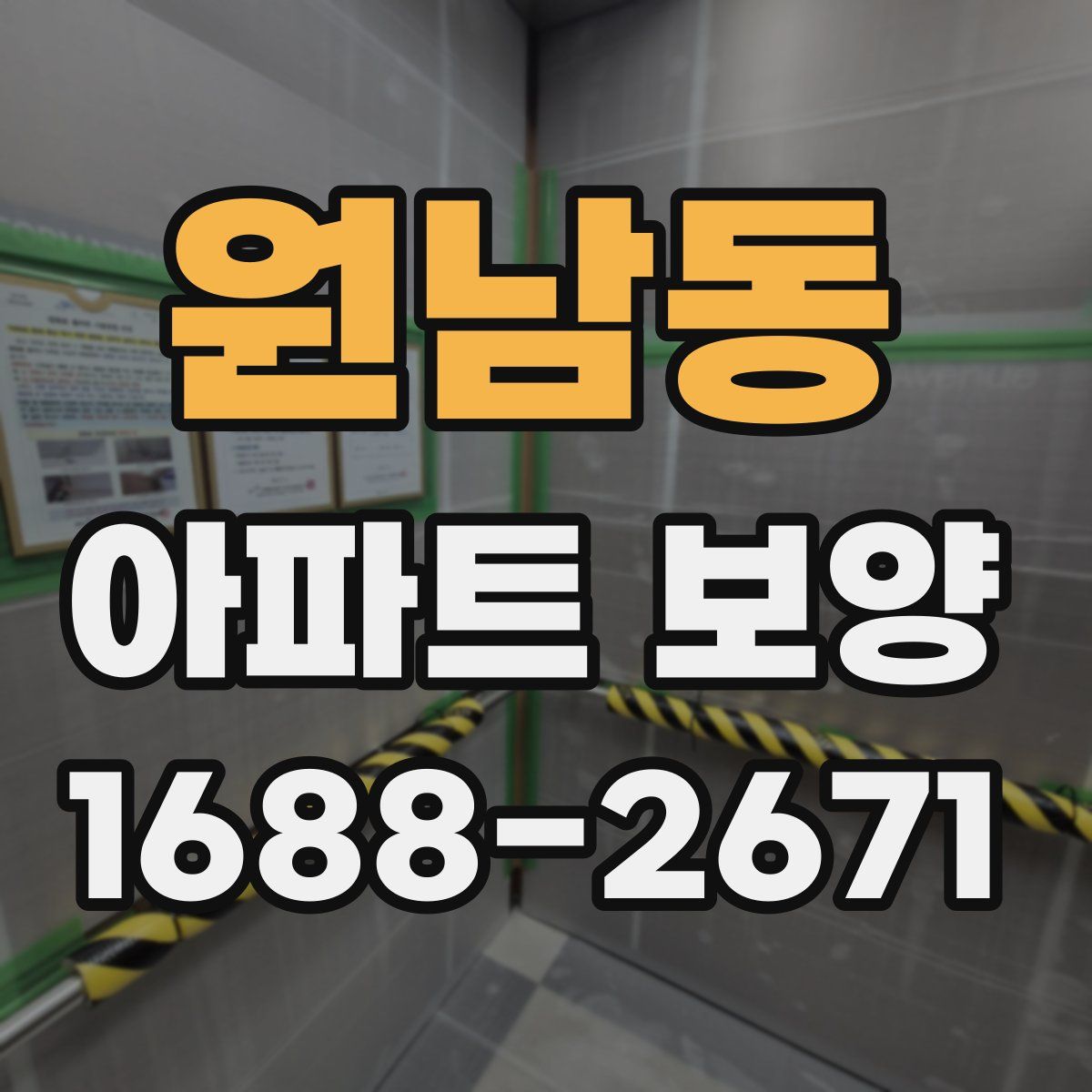 원남동 아파트 보양