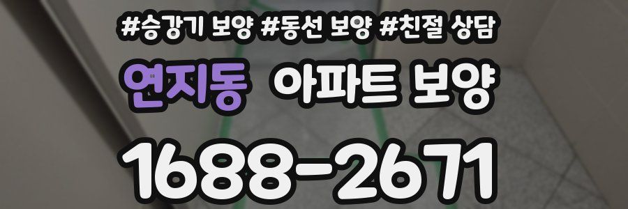 연지동 아파트 보양