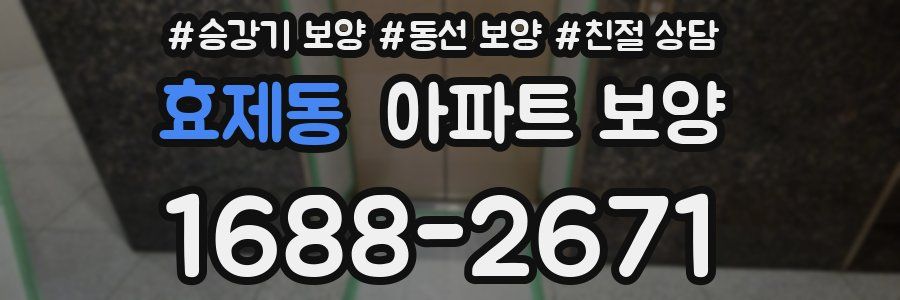 효제동 아파트 보양
