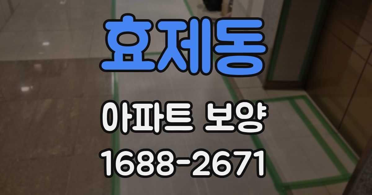 효제동 아파트 보양