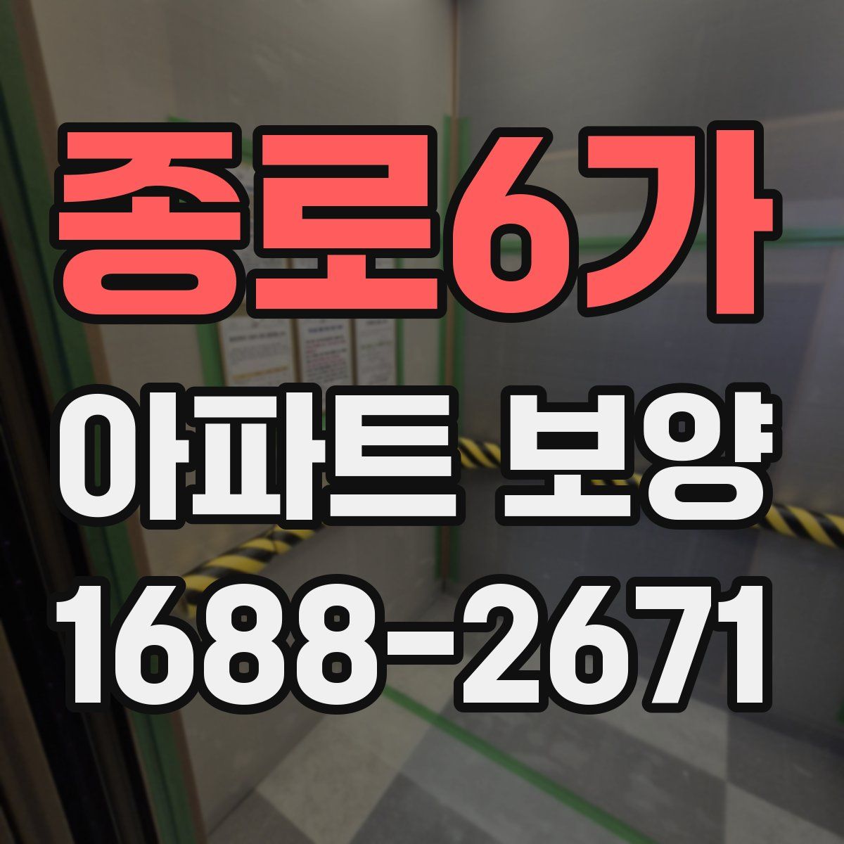 종로6가 아파트 보양