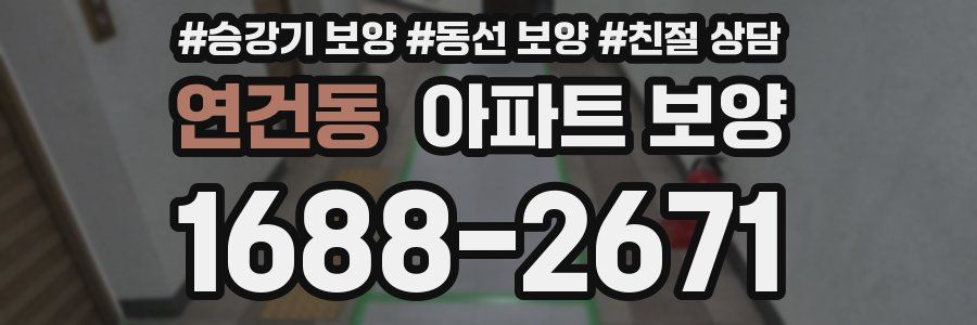 연건동 아파트 보양