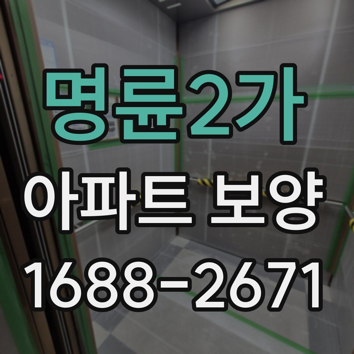 명륜2가 아파트 보양 범위별 준비 과정 정리