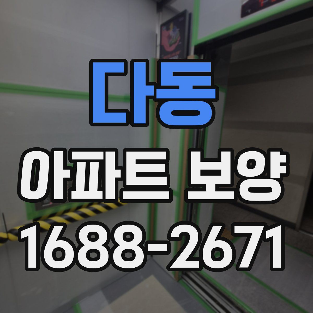 다동 아파트 보양