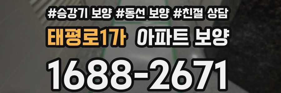태평로1가 아파트 보양