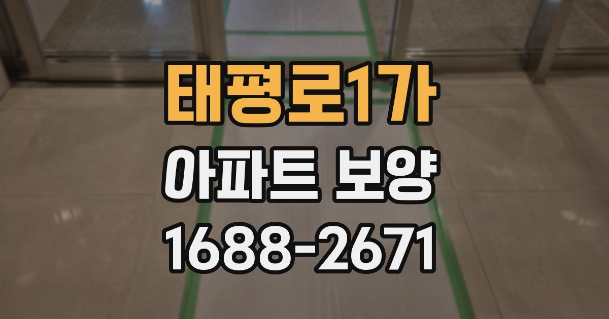 태평로1가 아파트 보양