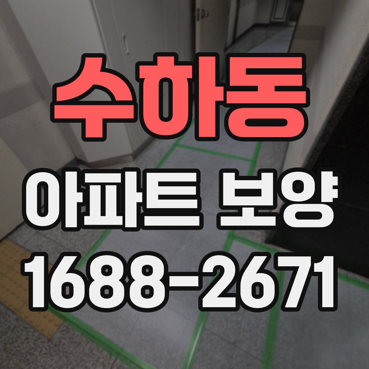 수하동 아파트 보양