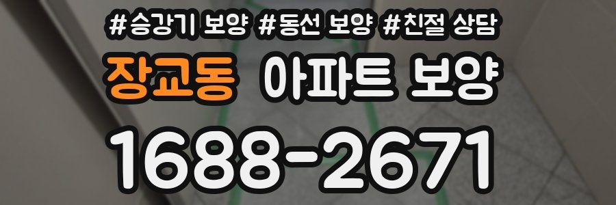 장교동 아파트 보양