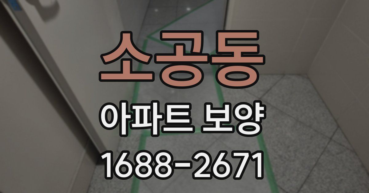소공동 아파트 보양