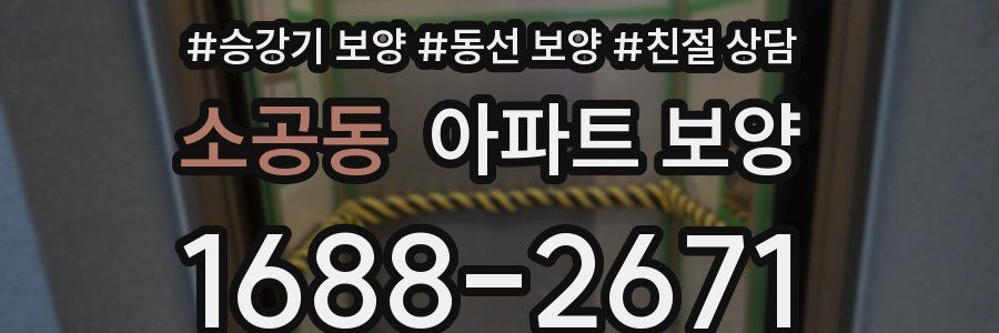 소공동 아파트 보양
