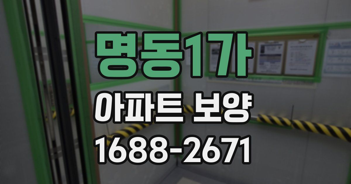 명동1가 아파트 보양