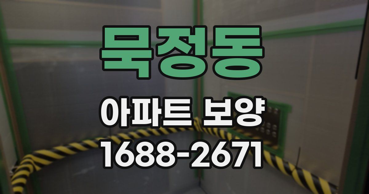 묵정동 아파트 보양