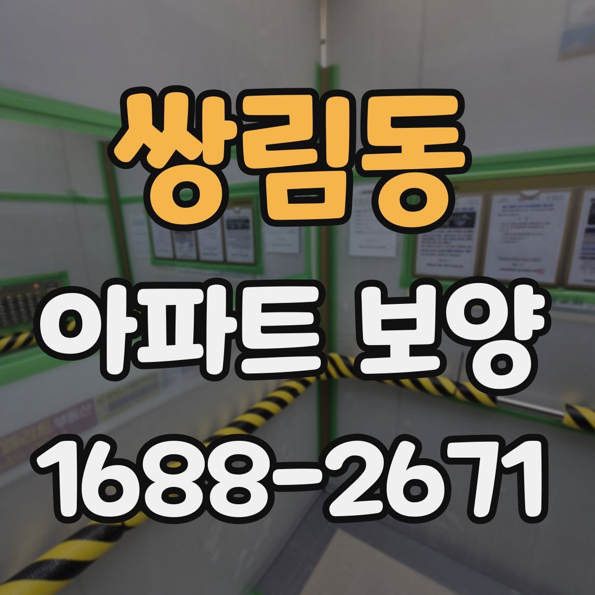 쌍림동 아파트 보양